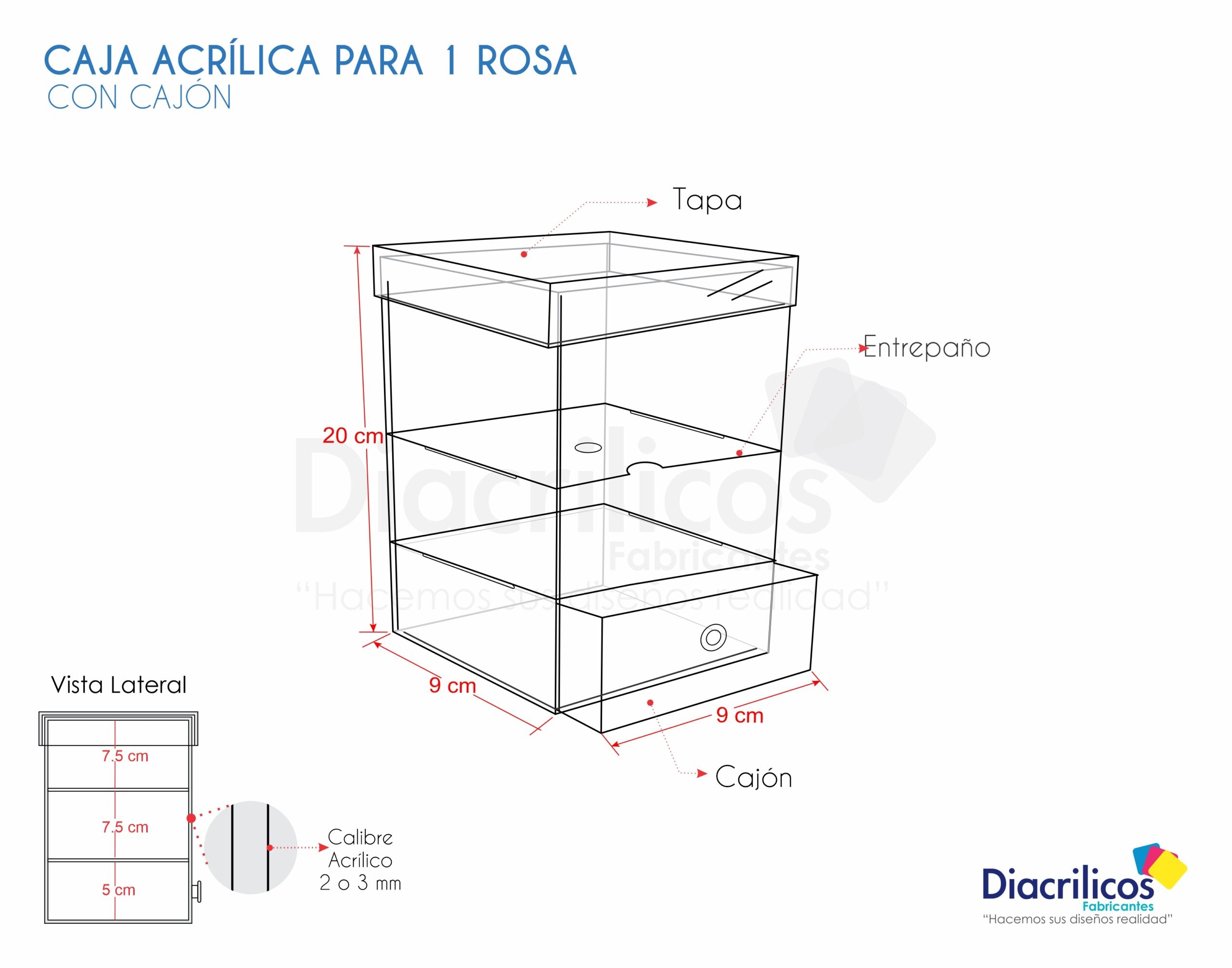 Caja para 1 Rosa