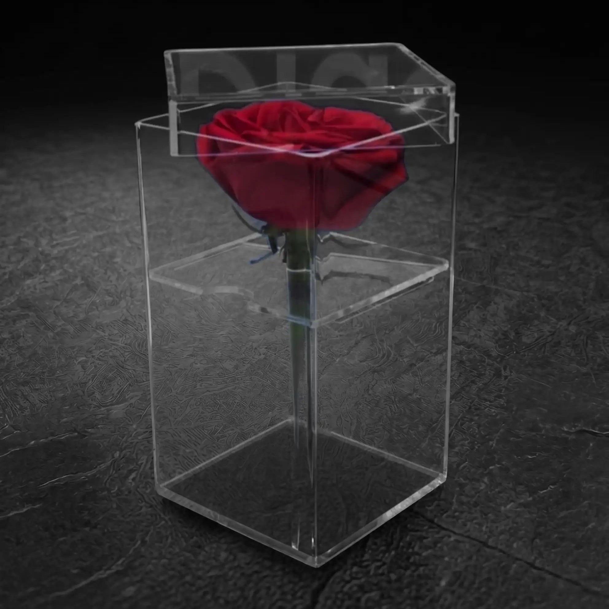 Caja de acrílico para una rosa