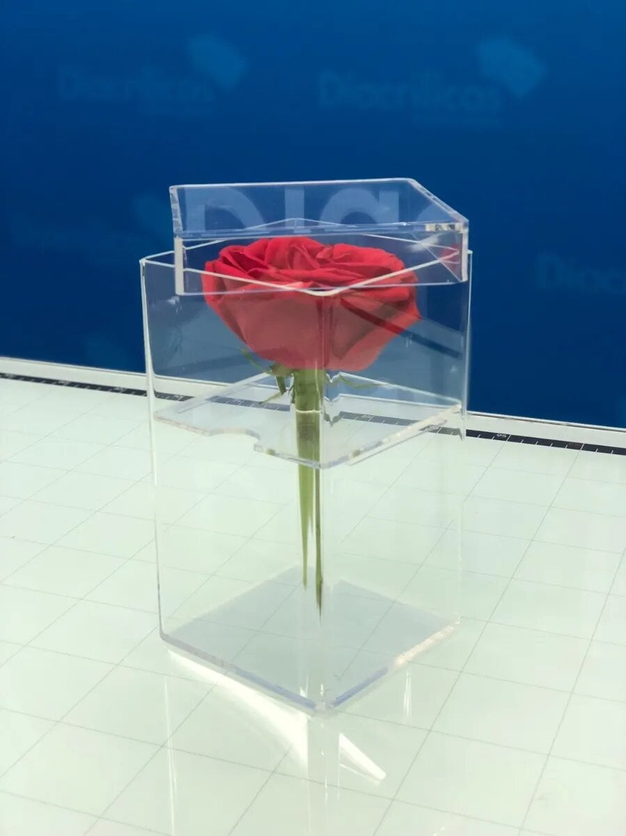Caja para 1 Rosa