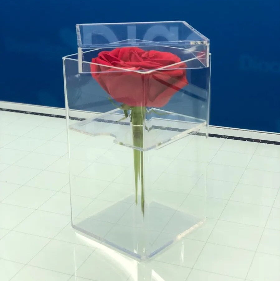 Caja de acrílico para una rosa