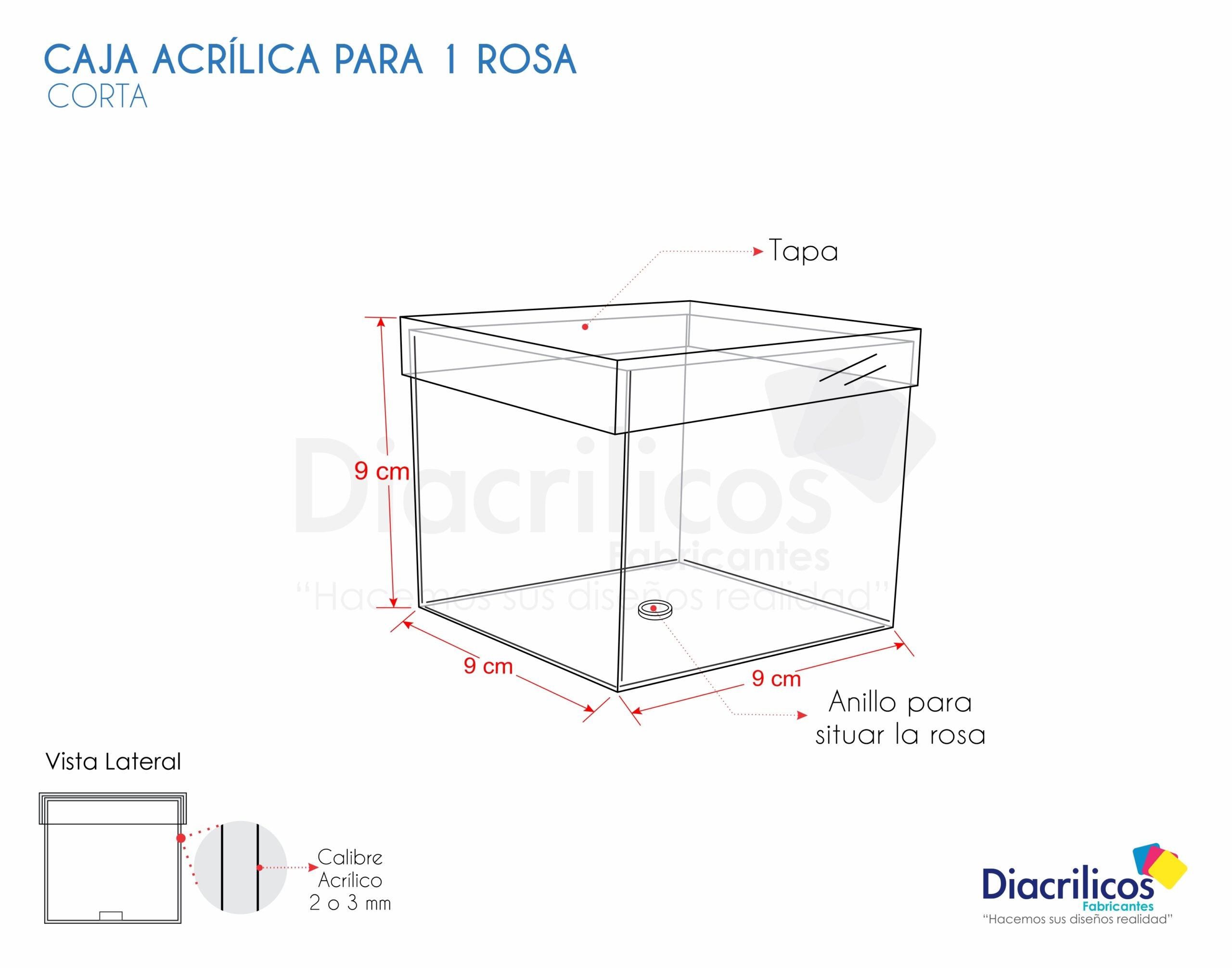 Caja para 1 Rosa