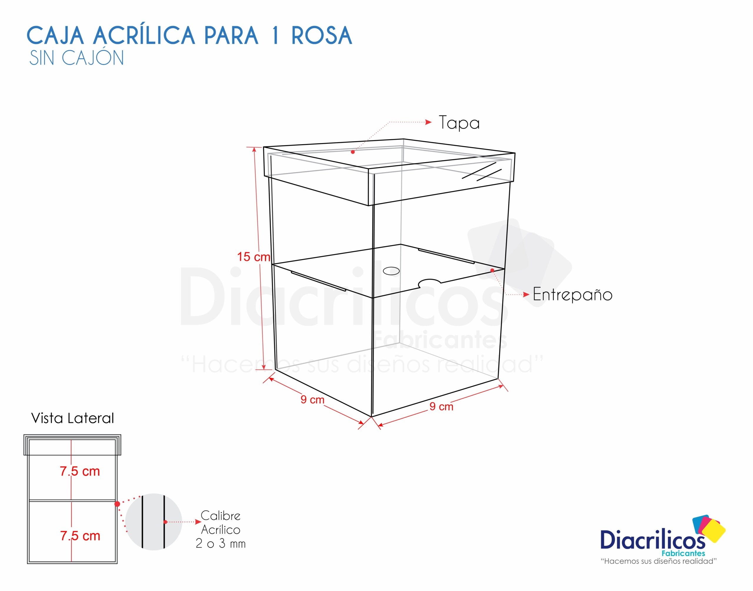 Caja para 1 Rosa