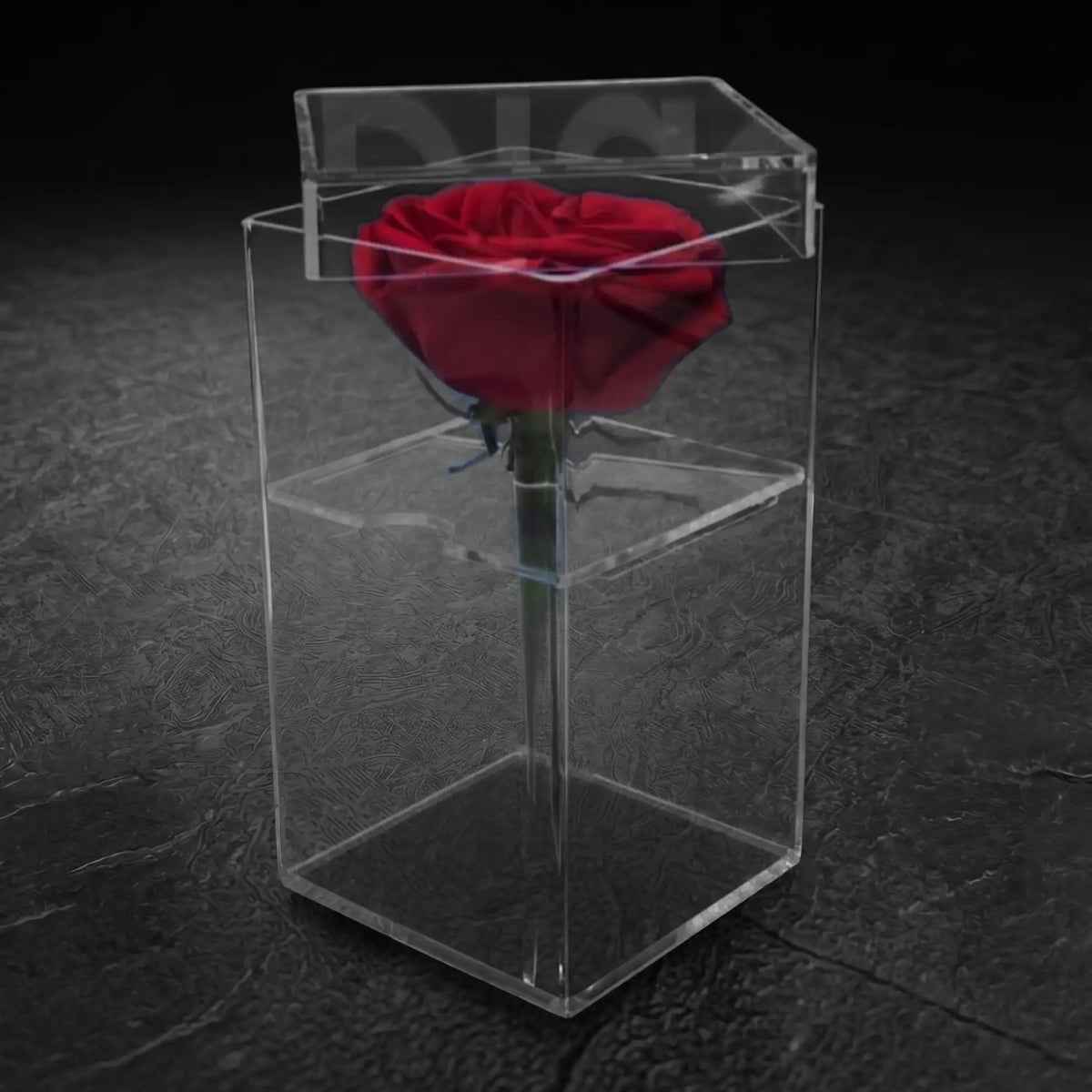 Caja de acrílico para una rosa