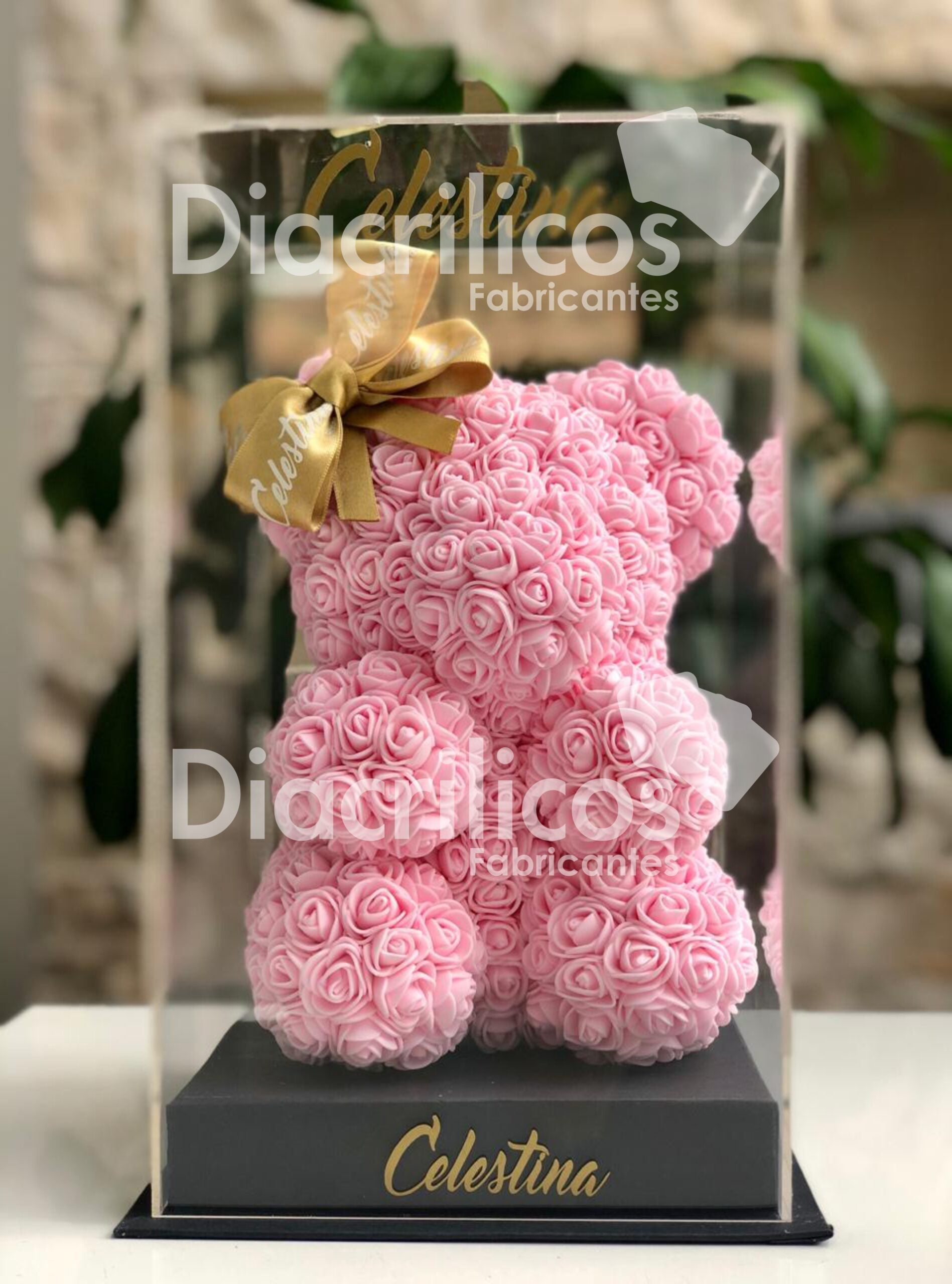 Caja Para Cubrir Osos En Acrílico con Base
