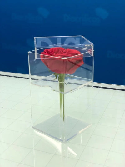 Caja de acrílico para una Rosa