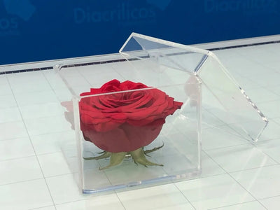 Caja de acrílico para una Rosa
